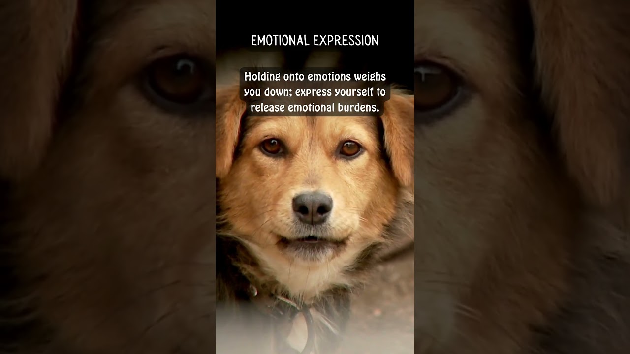 Emotional Expression - #life. #lessons #motivational #animalwisdom #shorts #youtubeshorts #short