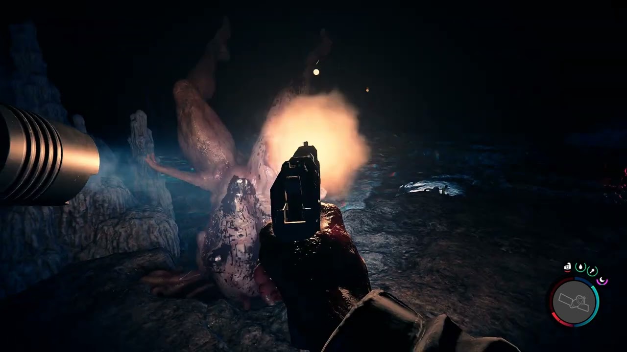 Average Cave Diving Experience