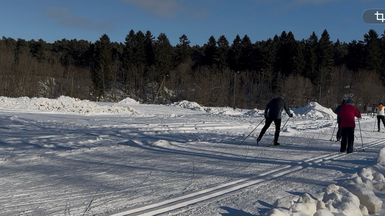 Tallinn vlog. Estonia winter. Жизнь семьи из Таллинна. 