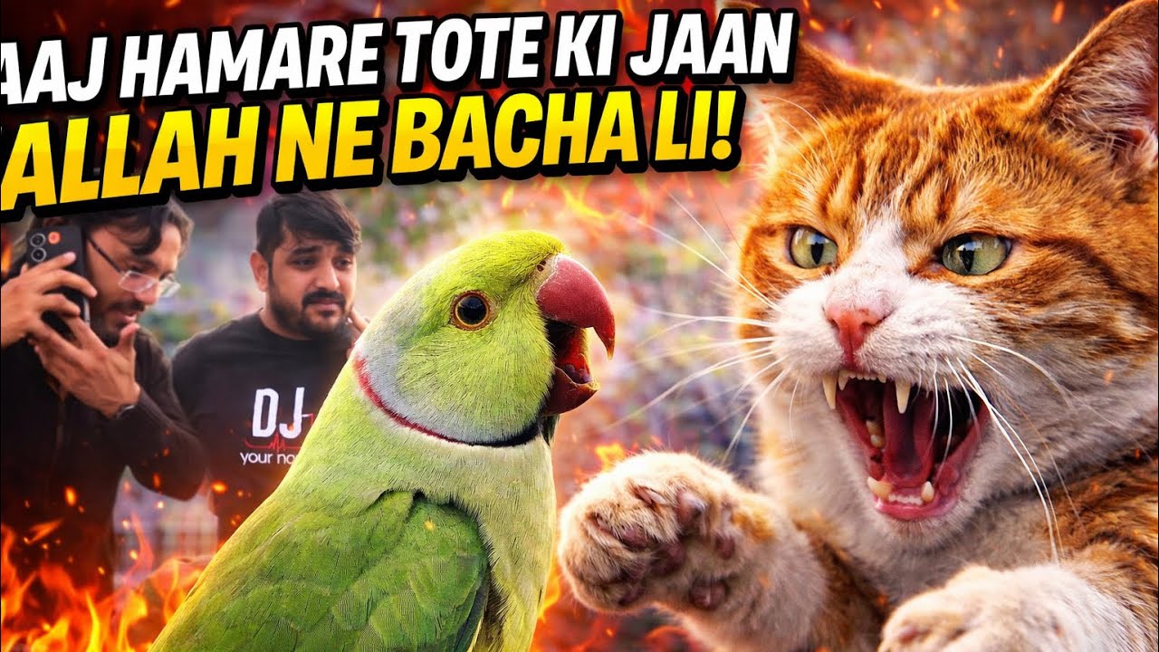 AJ humry tota ki jaan ALLAH NE BACHA Li! Babar akbar vlog