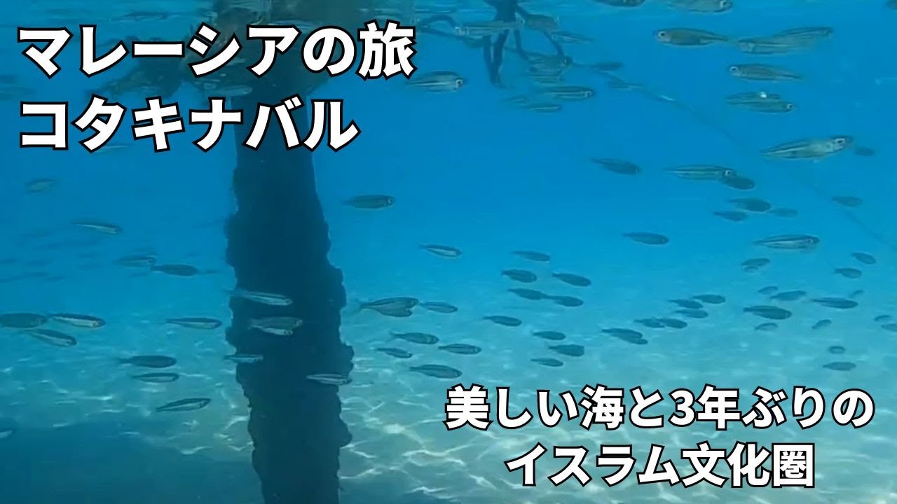 【マレーシアの旅】ボルネオ島のサバ州！コタキナバルへ！3年ぶりのイスラム圏の国は相変わらず最高でした！