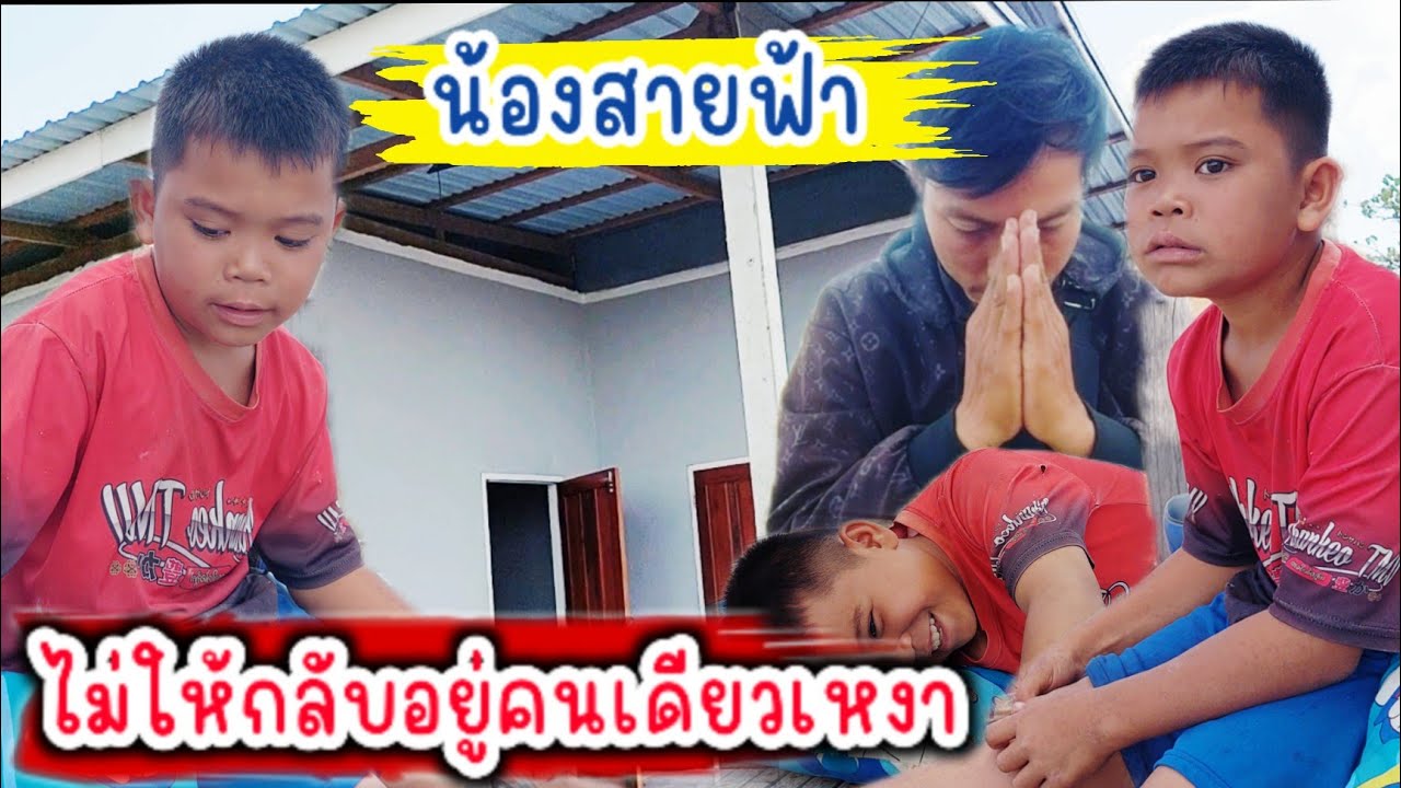 คลิปสุดท้ายก่อนลากลับบ้าน  (น้องสายฟ้าไม้ให้กลับ น้องคงเหงายู่คนเดียว🥹) 29/1/2026