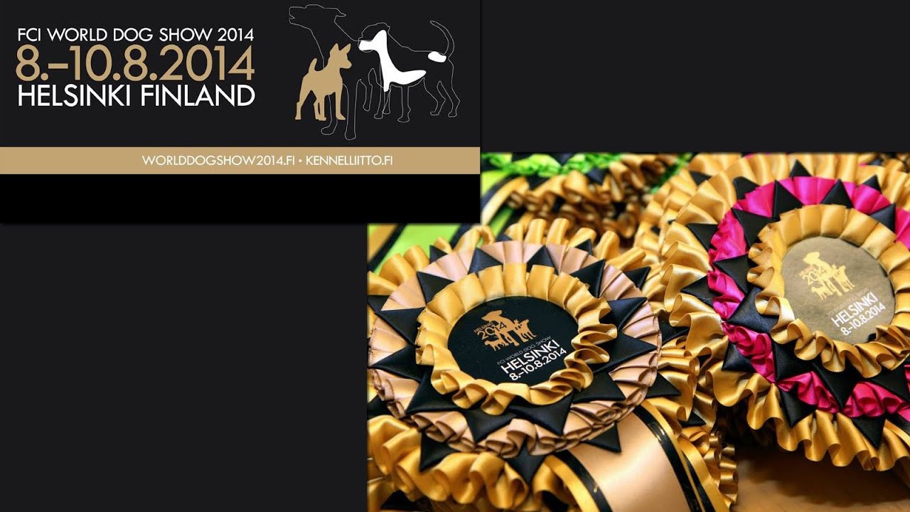 FCI World Dog Show - 2014:   Kleinspitz