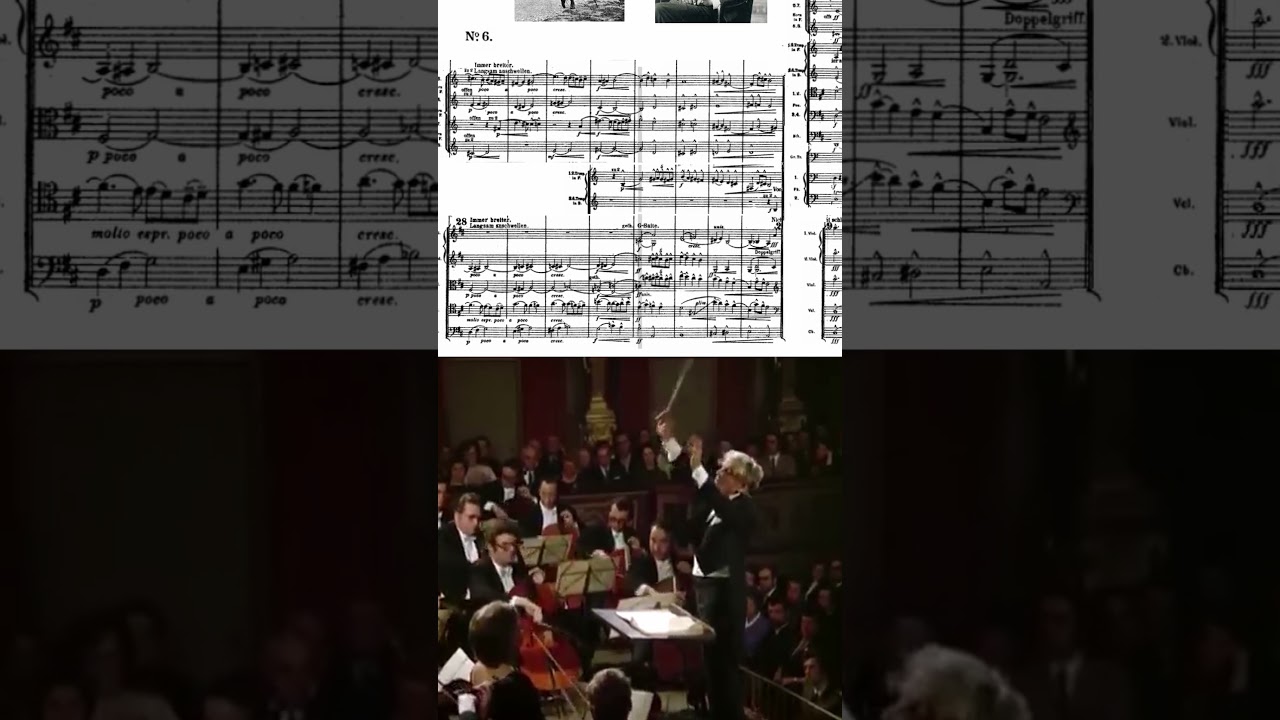 Beautiful Moments in Classical Music Part 14 #Mahler #Symphony #classicalmusic