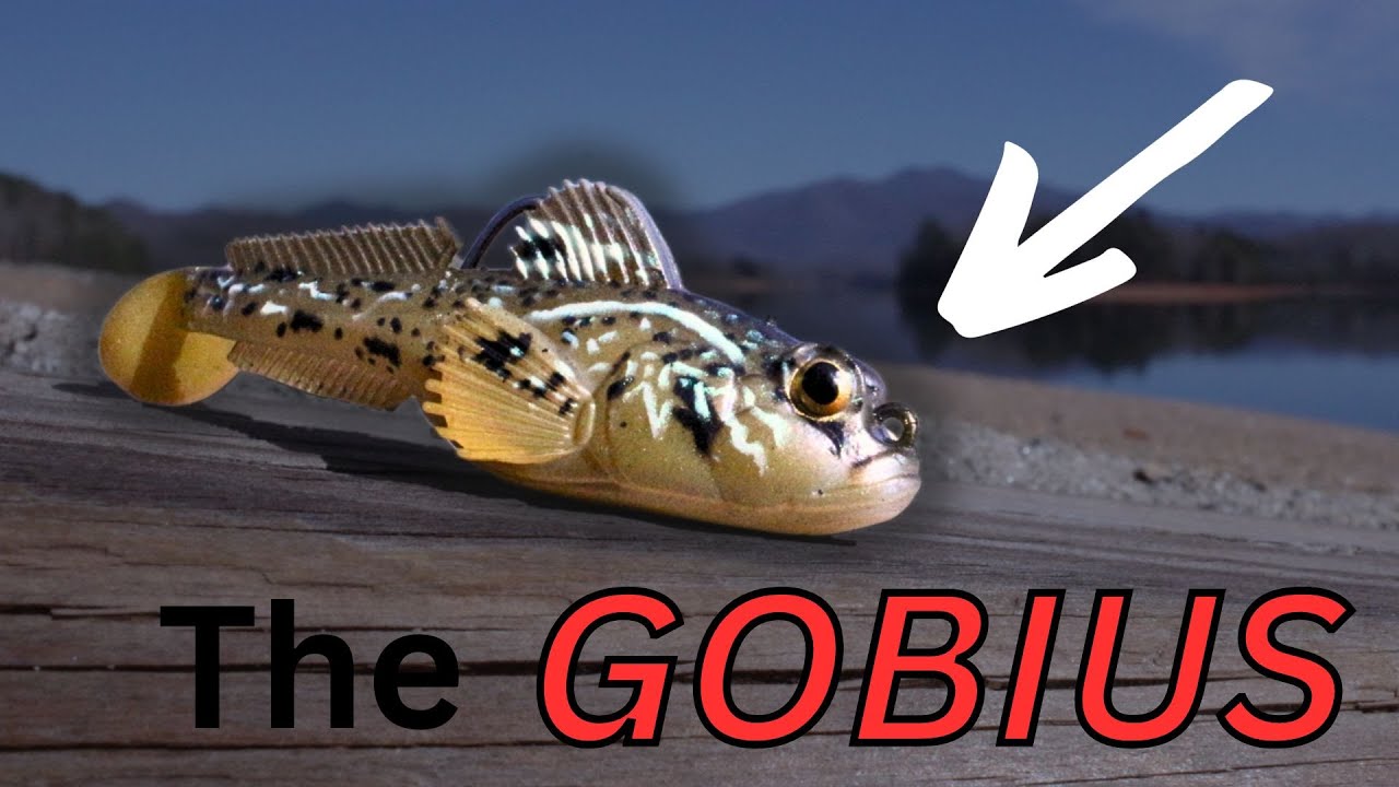 One Of The NEWEST Bass Fishing Baits