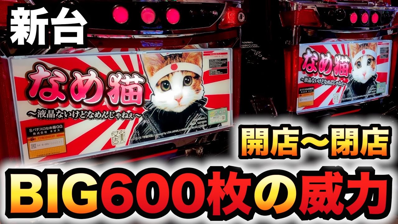 【開店〜閉店】新台なめ猫BIG600枚の威力は？パチスロ実践～液晶ないけどなめんじゃねぇ～