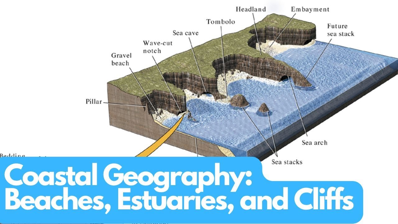 Exploring Coastal Geography: Beaches, Estuaries, and Cliffs
