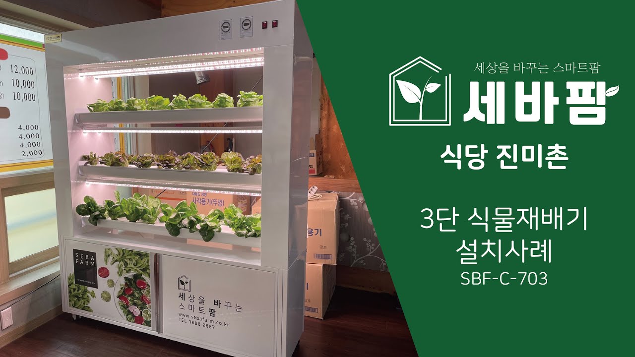 세바팜 식물 수경 재배기 식당 진미촌 설치