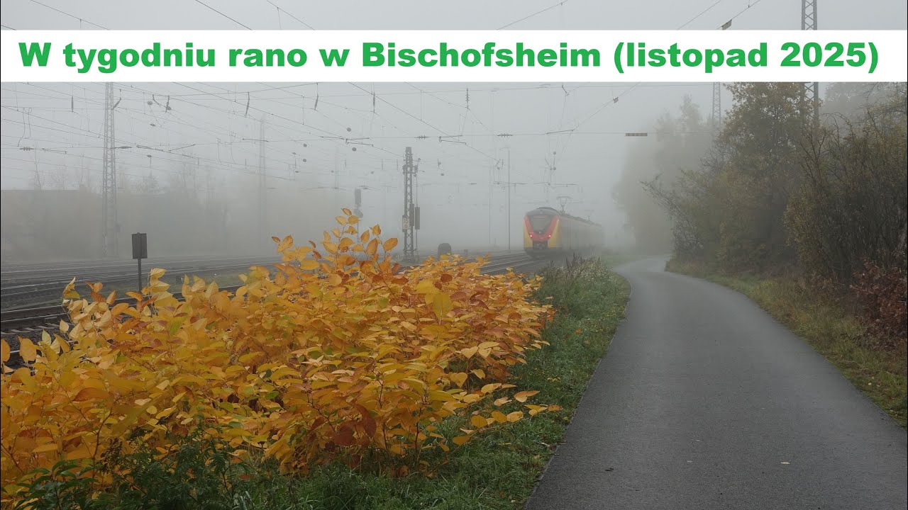 Przy torach: W tygodniu rano w Bischofsheim (listopad 2025)