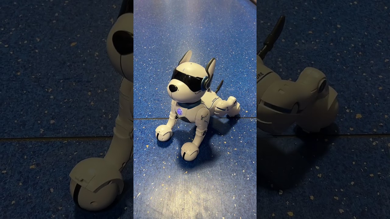 Meet Ziggy the Robo Dog 🐾🤖 Product code 🔎 188373 #smythstoys #ziggy #robotdog #toyshorts