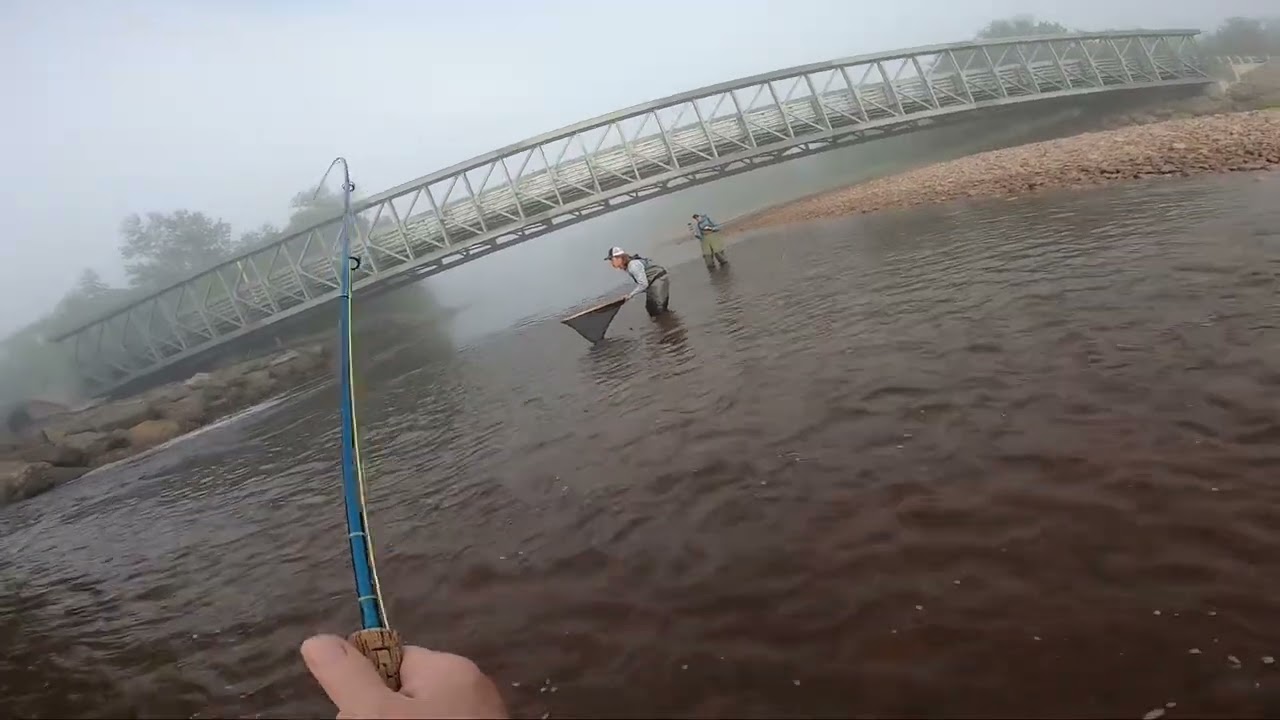 Margaree River , Cape Breton , Nova Scotia Atlantic Salmon  Fly Fishing July 2024