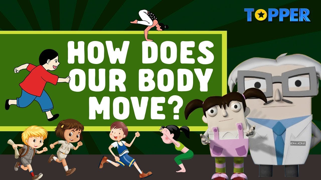 Human Body and Its Movements | Types of Joints | Class 6th Biology |