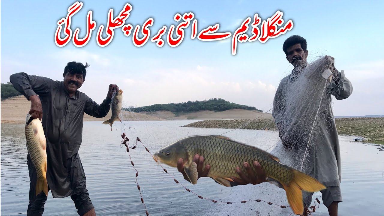 Barish ka mosam ma Mangla dam sa itni bare fish pakre 😍