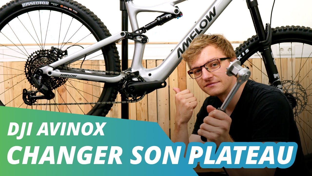 Remplacer le plateau sur un vélo électrique DJI Avinox | EBIKE24 fr