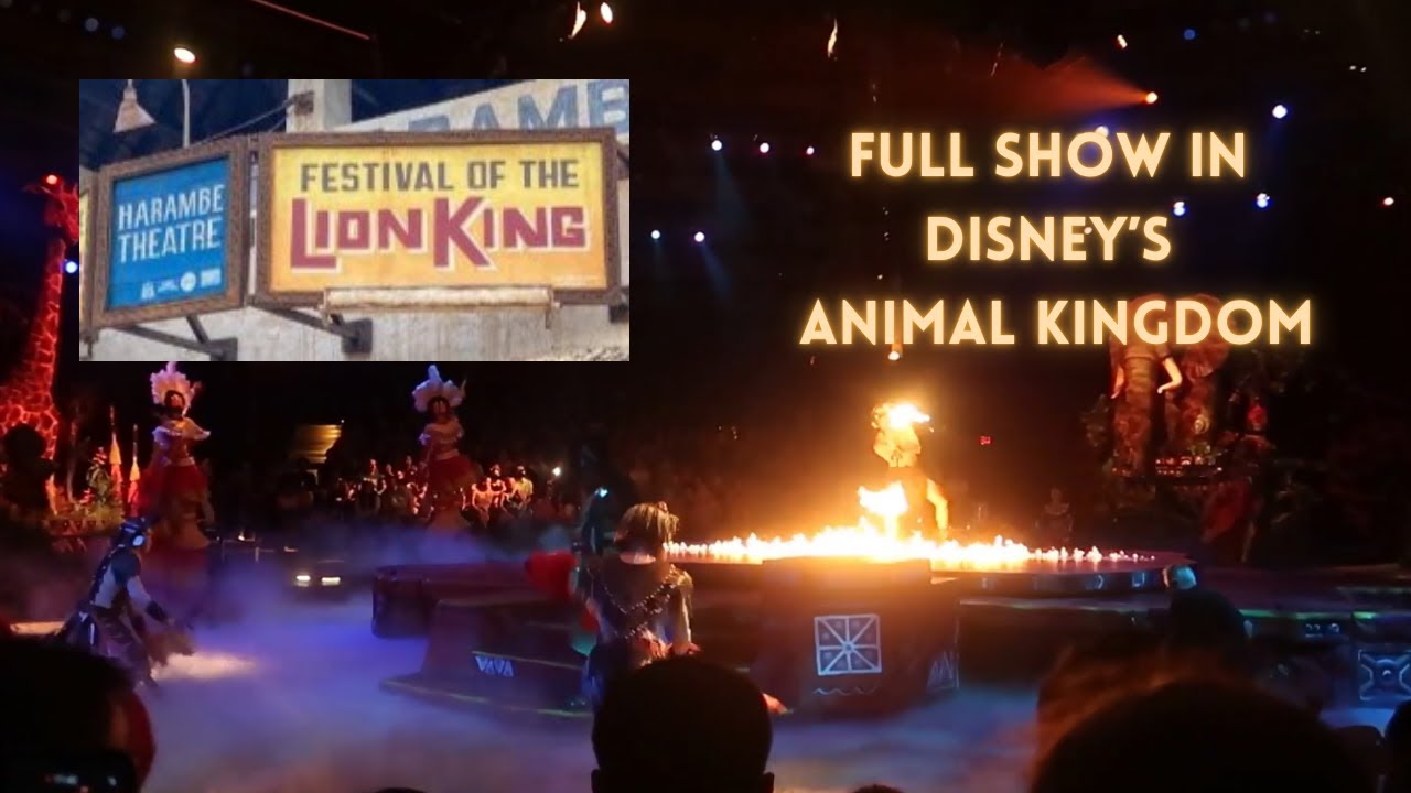 Festival of the Lion King | Disney's Animal Kingdom