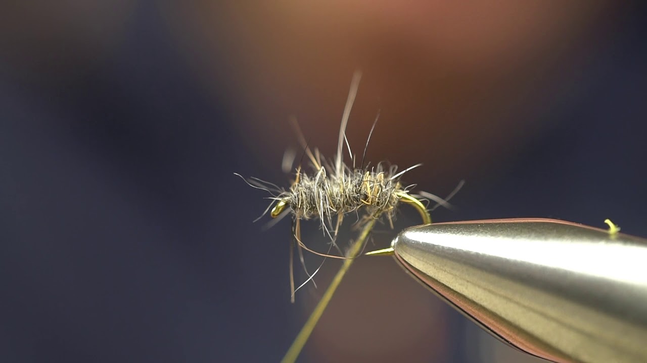 Hump's Cressbug (variation)