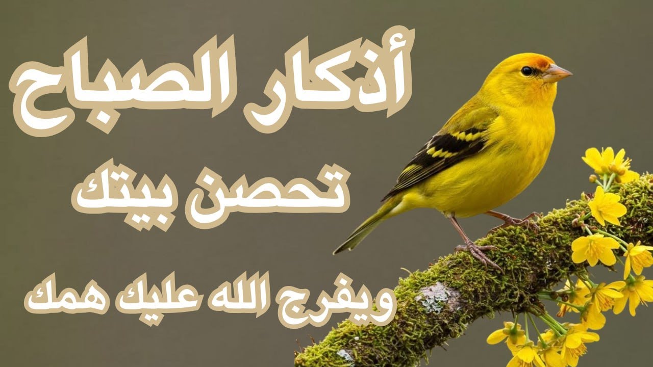 أذكار الصباح | راحة وطمأنينة وفتح رزق  | Morning Adhkar | Dzikir Pagi – علاء عقل