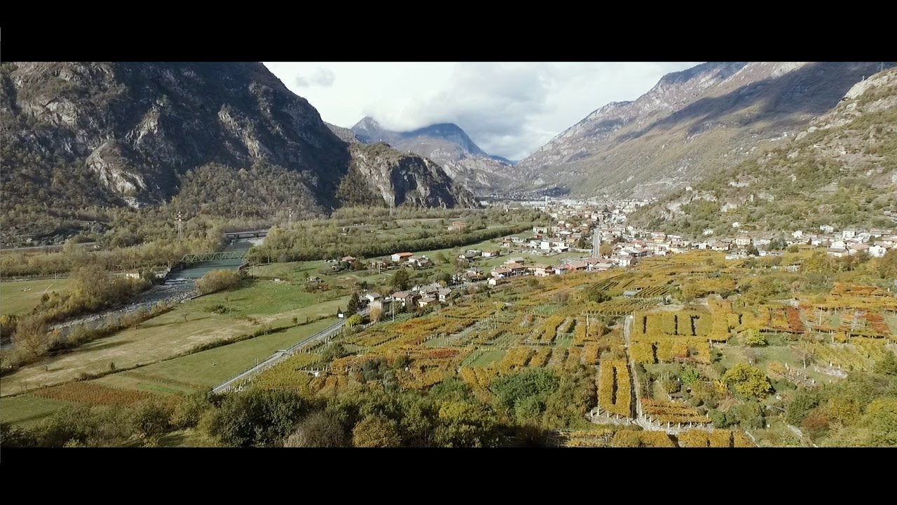Carema