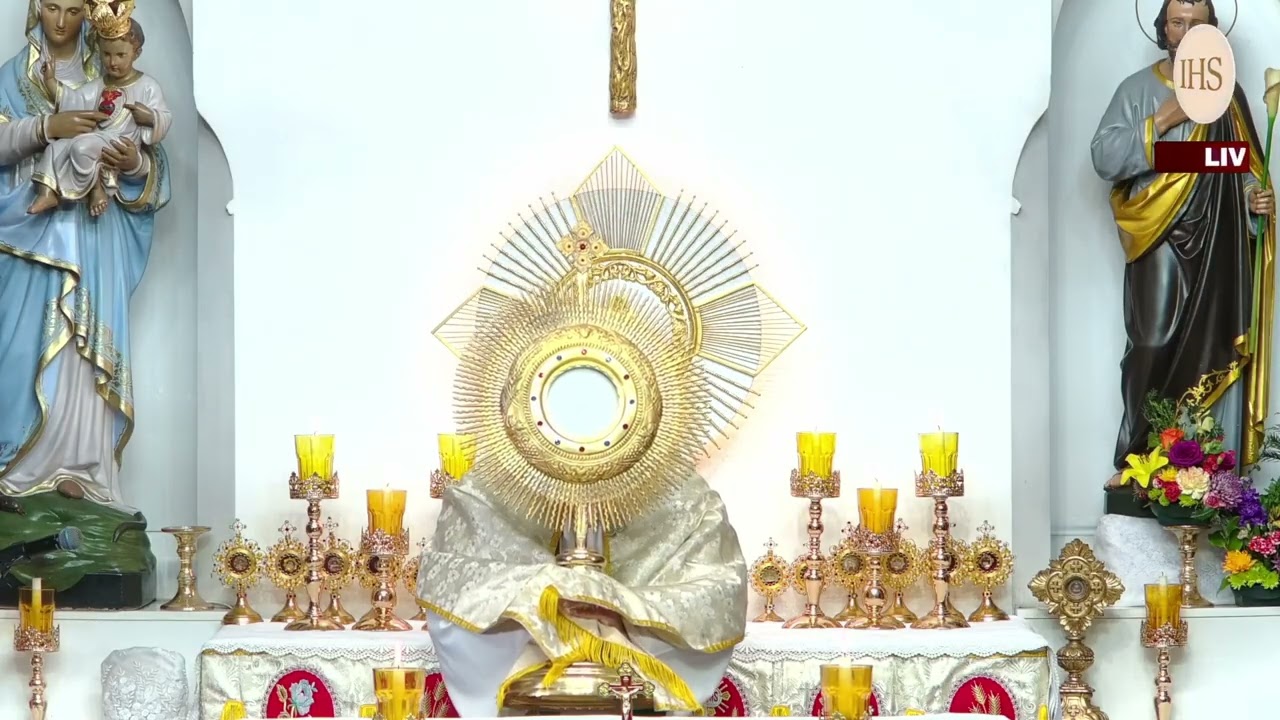 Happy Feast of St. Joseph