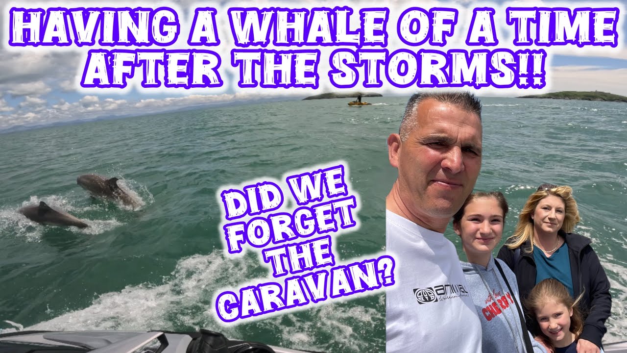 Another stormy week at the caravan. #dolpins  #welshchapeldreams