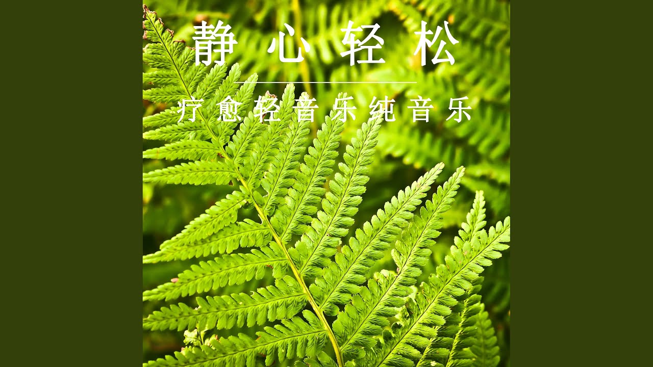 轻松疗愈 (舒缓纯音乐)