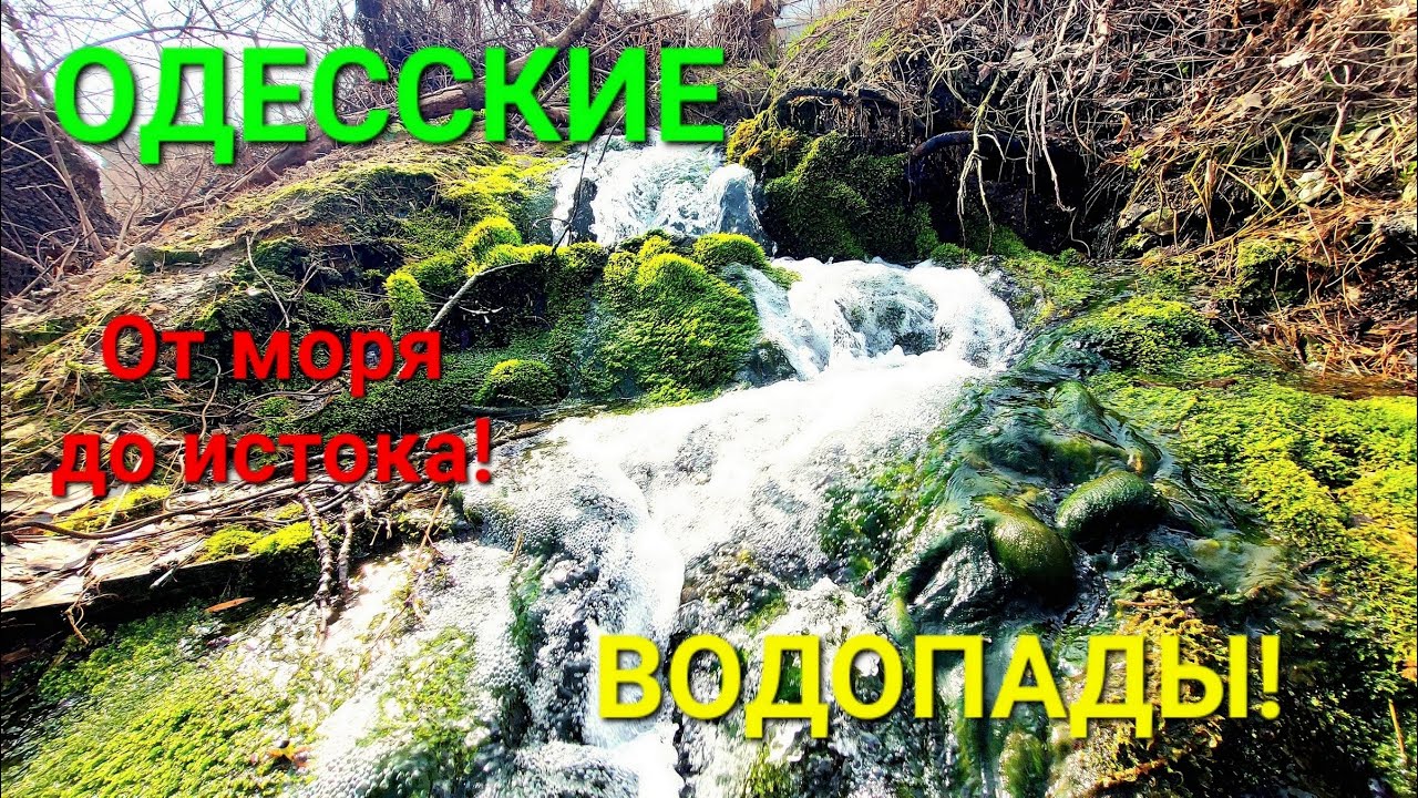 Одесса родник. Красивое место. Известковая. Слободка. Одесский водопад. Тайные места Одессы #зоотроп