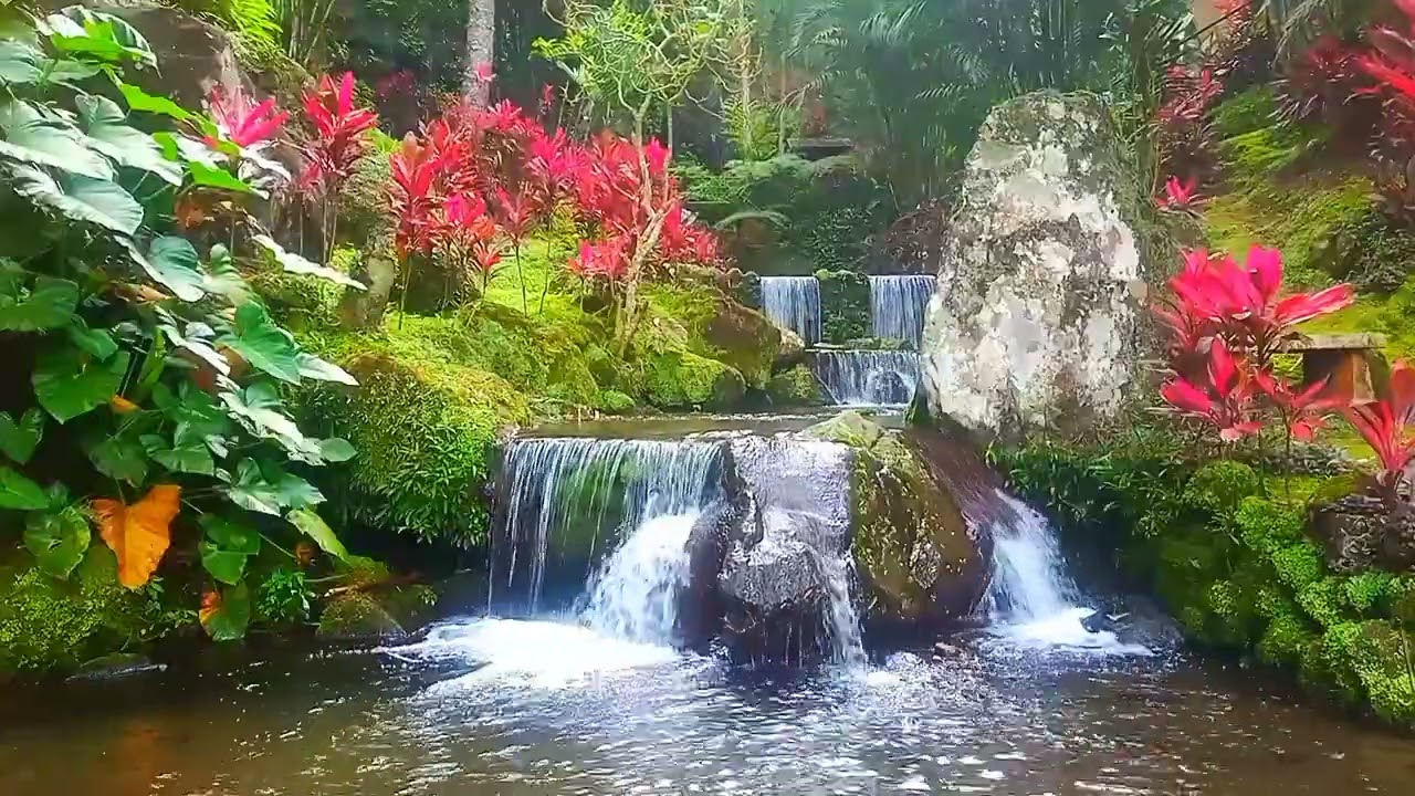 Original water sound and bird chirping for Relaxation #ASMR#WATERSOUND#NATURE