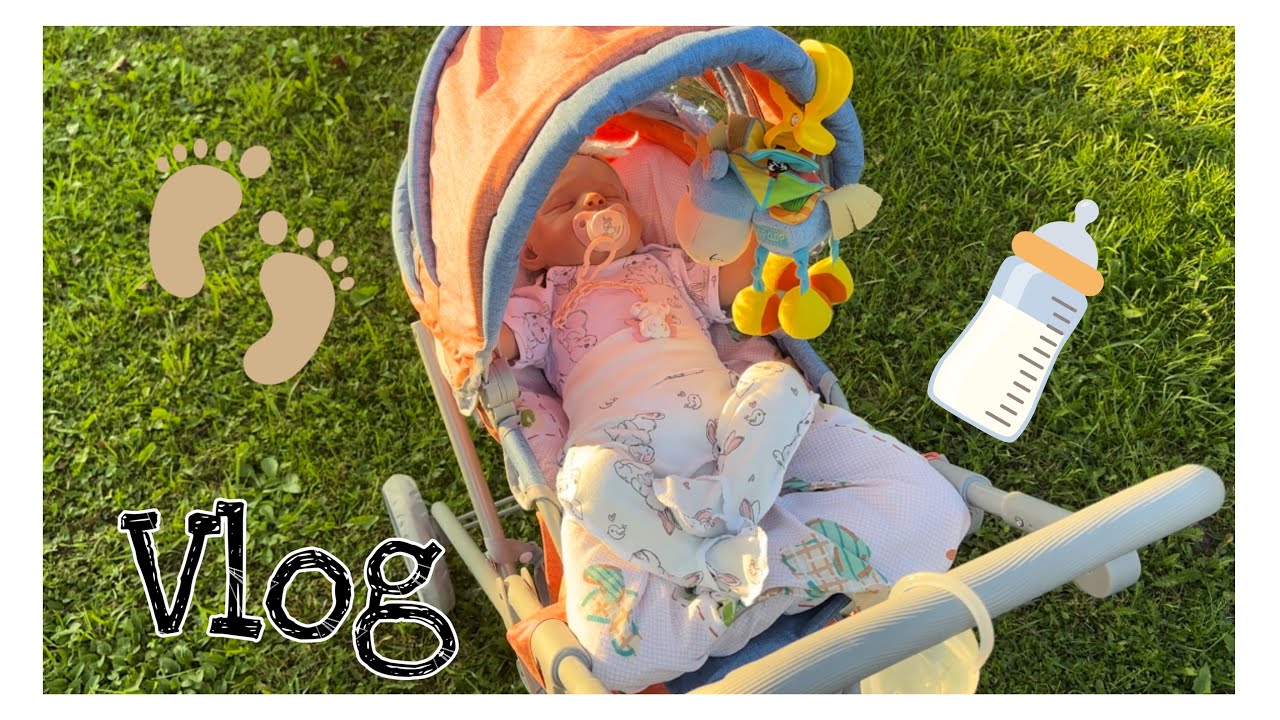 Vlog:Прогулка с Мишель.Рассказала о том,как начала увлекаться реборнами.