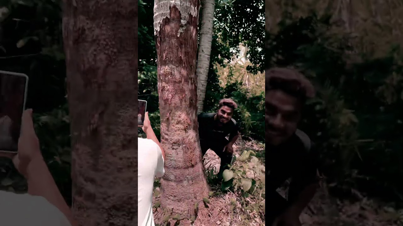 #Pungi #kolkata #comedy #subscribe #funny #fun #like #video