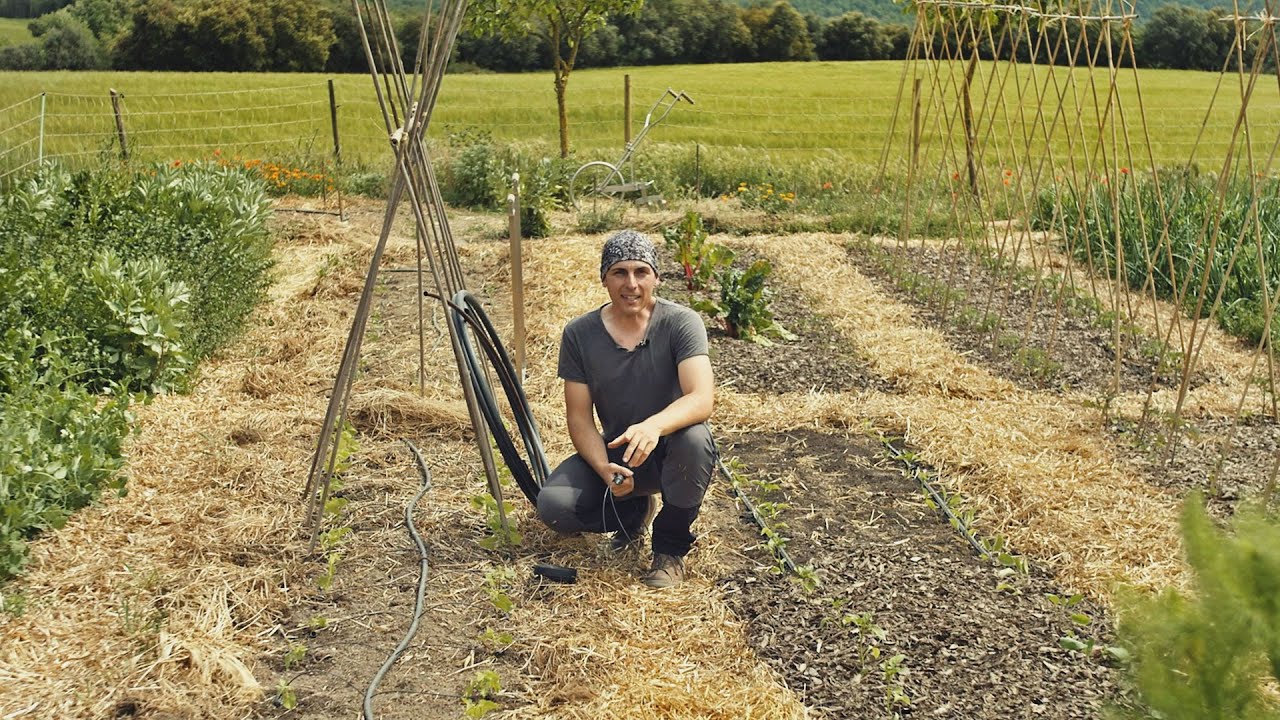 El reg eficient a l'hort // Marc Casabosch (E26 DIY Arrels)