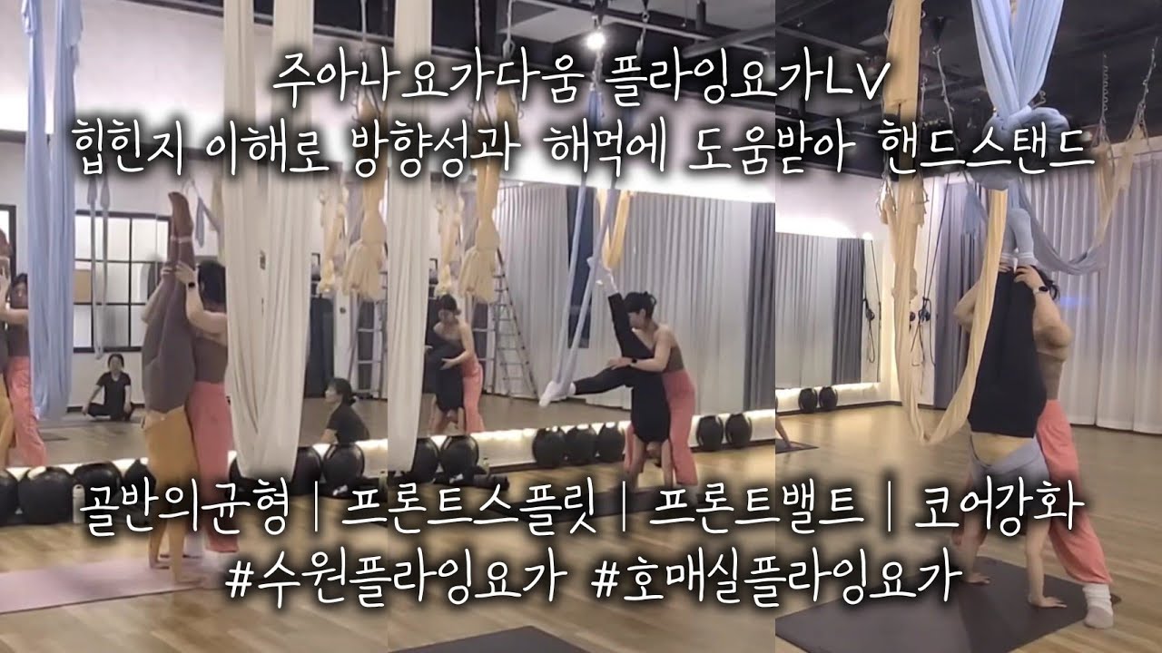 주아나요가다움 플라잉요가LV 힙힌지 이해로 방향성과 해먹에 도움받아 핸드스탠드 : 골반의균형│프론트스플릿│프론트밸트│코어강화 #수원플라잉요가 #호매실플라잉요가
