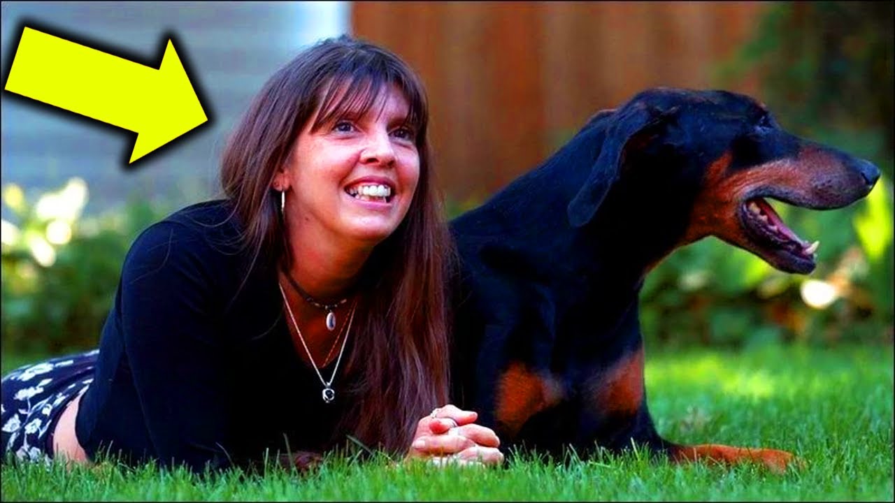 Celebrated Crime-Solving Dog Trainer EXPOSED in Shocking Scandal -The Truth Behind Her 'Discoveries'