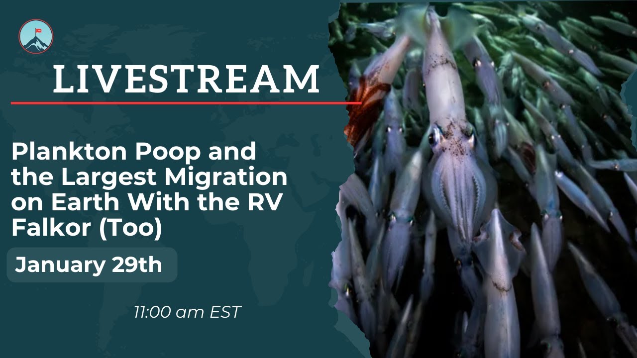 Plankton Poop and the Largest Migration on Earth With the RV Falkor (Too)