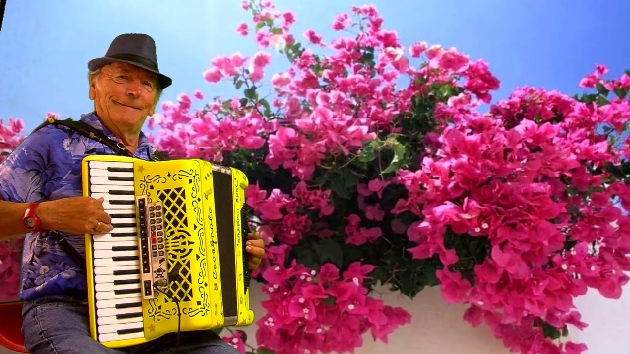 --SLOW D ENFER ) WITHOUT_YOU  !!! avec 3sons accordeon_orgue_saxo _JC 898