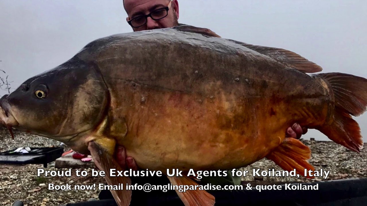Koiland with Angling Paradise
