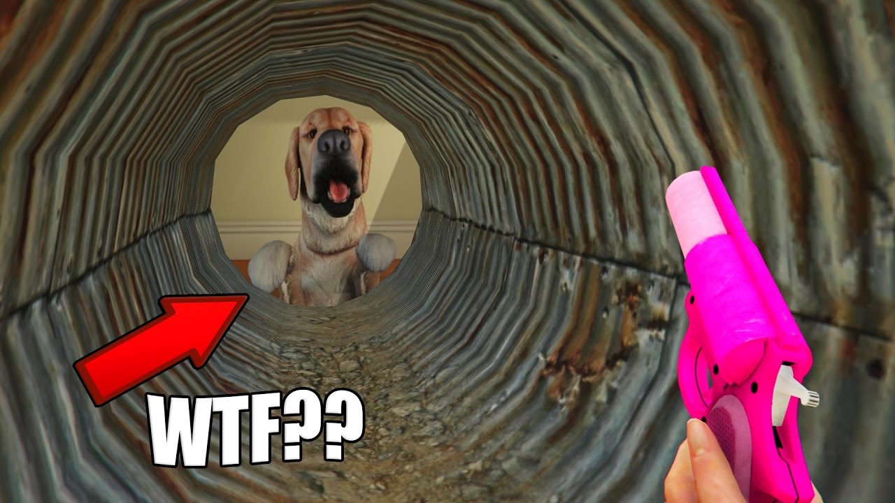 GTA 5 MYTHEN: GEHEIMER VERSTECKTER GEISTER HUND GEFUNDEN! | WAS PASSIERTE MIT MICHAELS HUND?