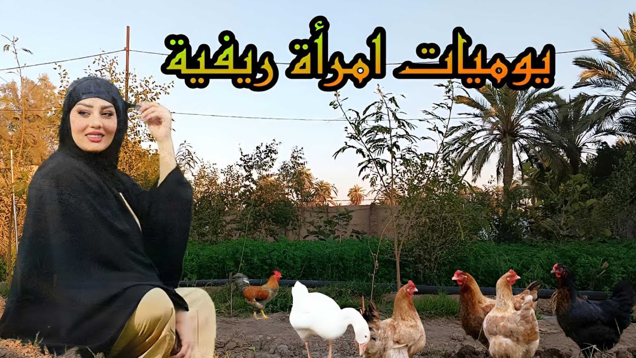 ألريف العراقي🇮🇶حياة القرية،🛖 روتين فلاحة عراقية، حياتي في المزرعة 🚜 👩‍🌾