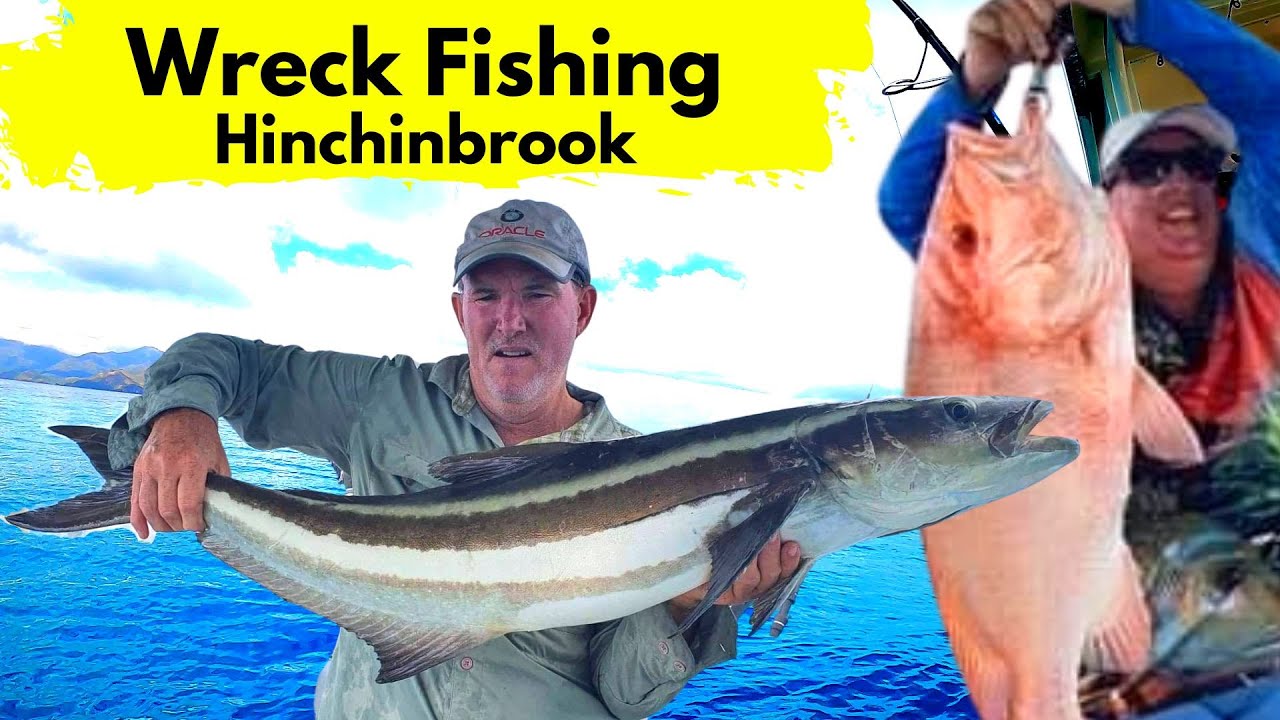 Huge COBIA & NANNI off Hinchinbrook Island | Drew M Shares Hot Fishing Tips with us. Jigs v Squid
