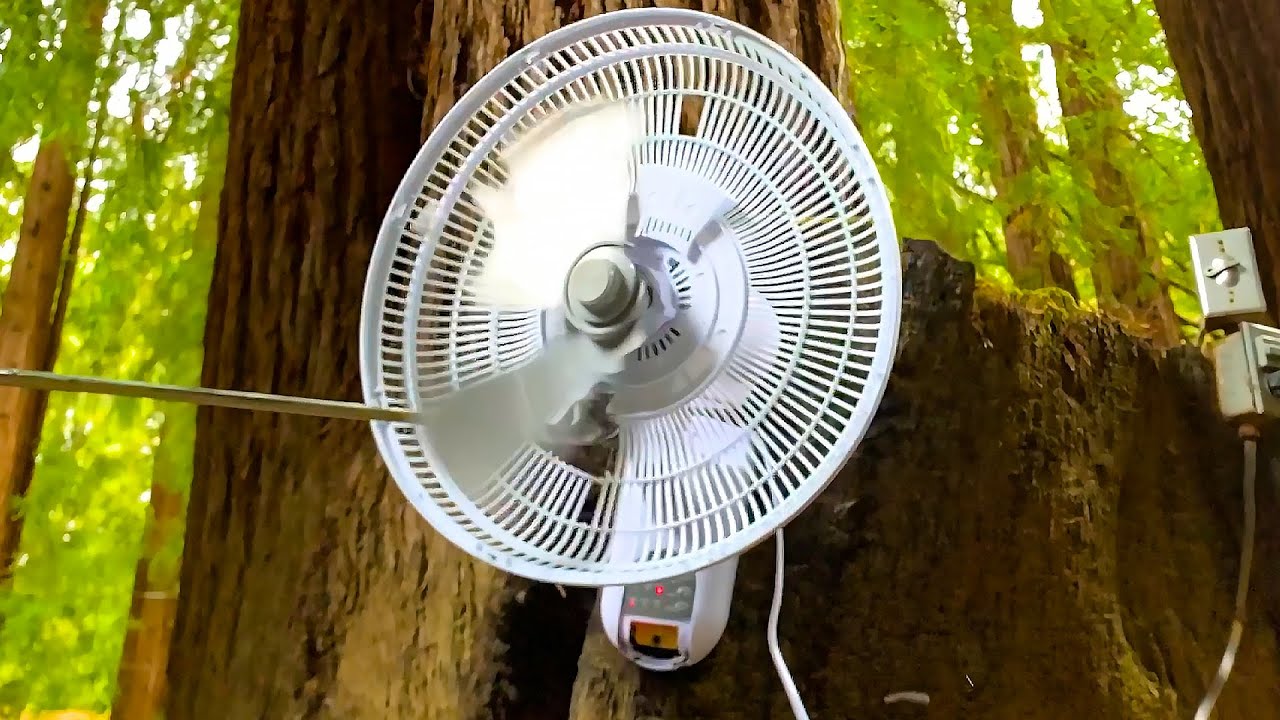 New Hampton Bay Wall Fan Destruction
