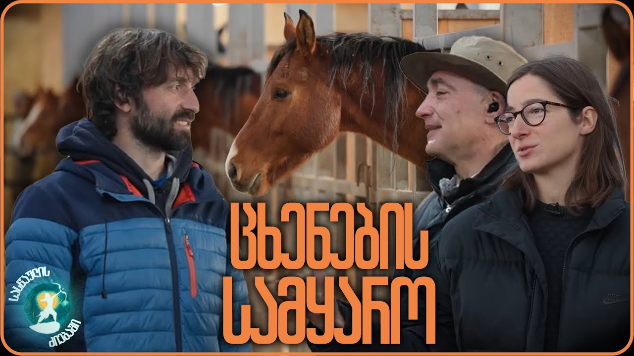 ცხენების სამყარო | სასწაულის ძიებაში