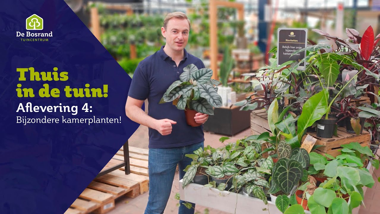 THUIS IN DE TUIN! | Aflevering 4: Bijzondere kamerplanten!