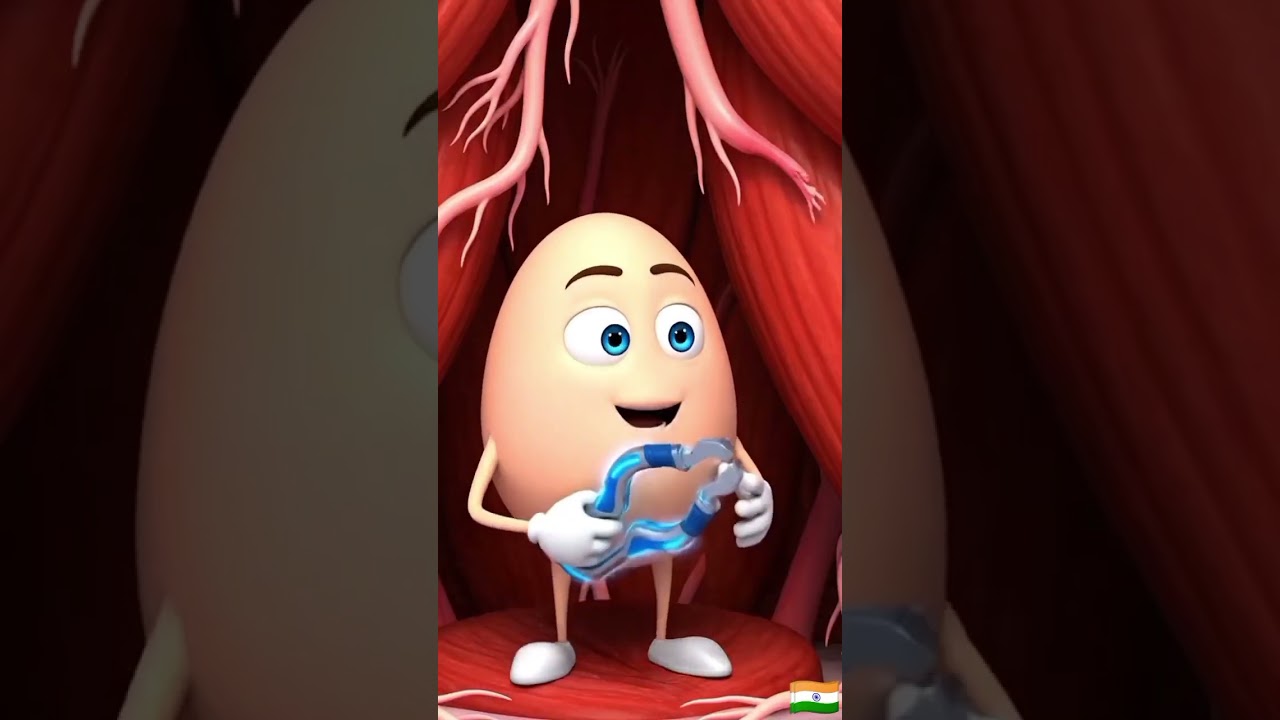 chicken🐔 & 🥚 subscribe🙏 please😭🙏 for daily health tips💡🙏 