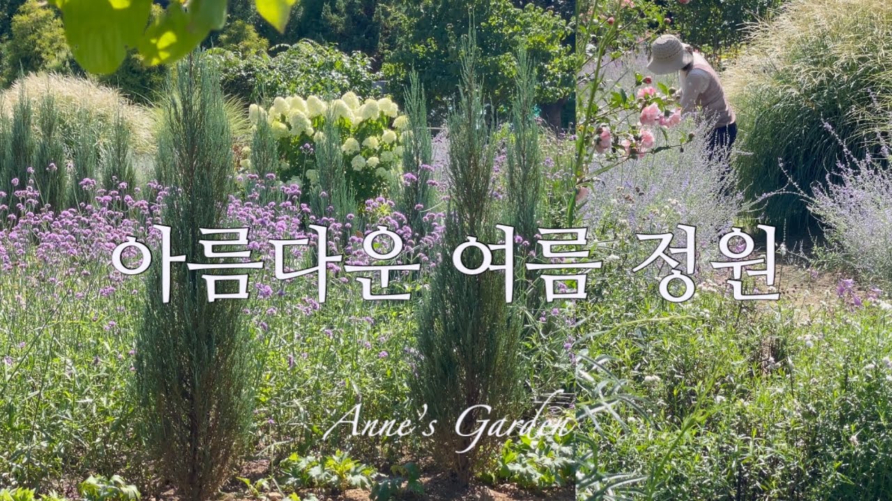 아름다운 여름 정원, 이 식물들 덕분입니다 | 여름꽃, 초화류, 가드닝
