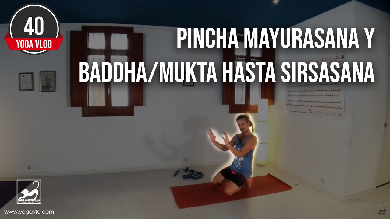 YogaVlog40: PINCHA MAYURASANA y BADDHA/MUKTA HASTA SIRSASANA