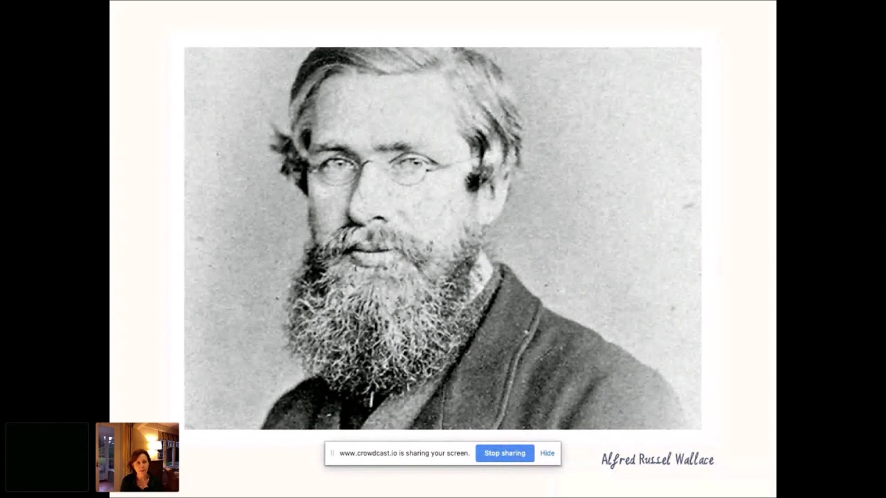 Darwin’s Rival: Alfred Russel Wallace and the Search for Evolution-TIES Webinar w/ Christiane Dorion