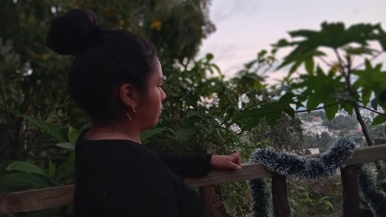 Feliz año nuevo,limpieza del jardin para recibir el año nuevo