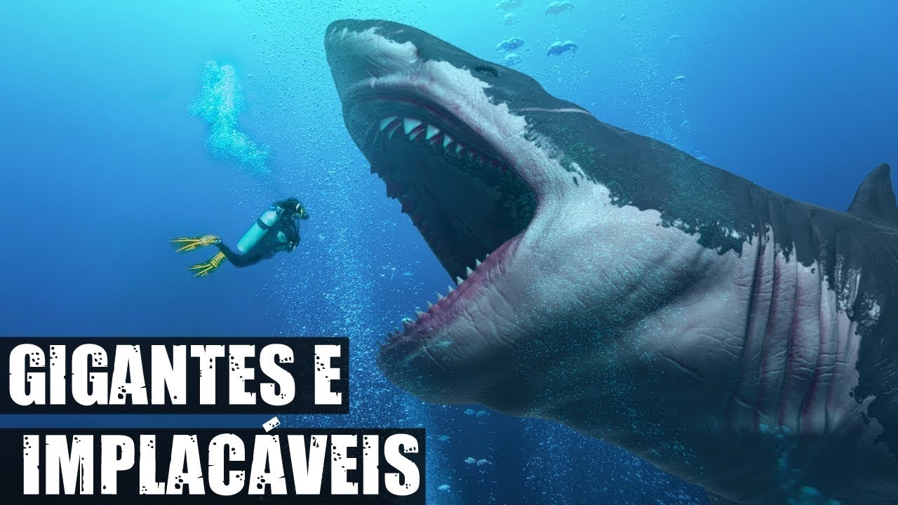 QUAIS OS MAIORES ANIMAIS QUE JÁ EXISTIRAM?