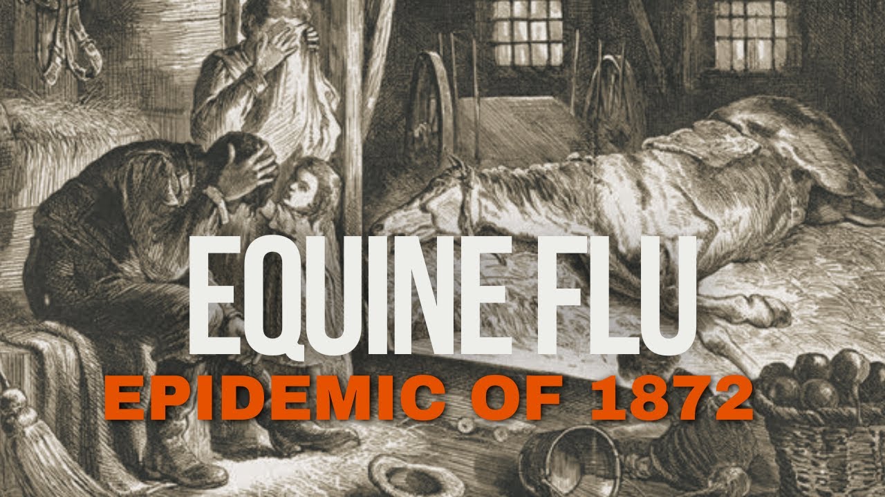 The Equine Flu Epidemic of 1872