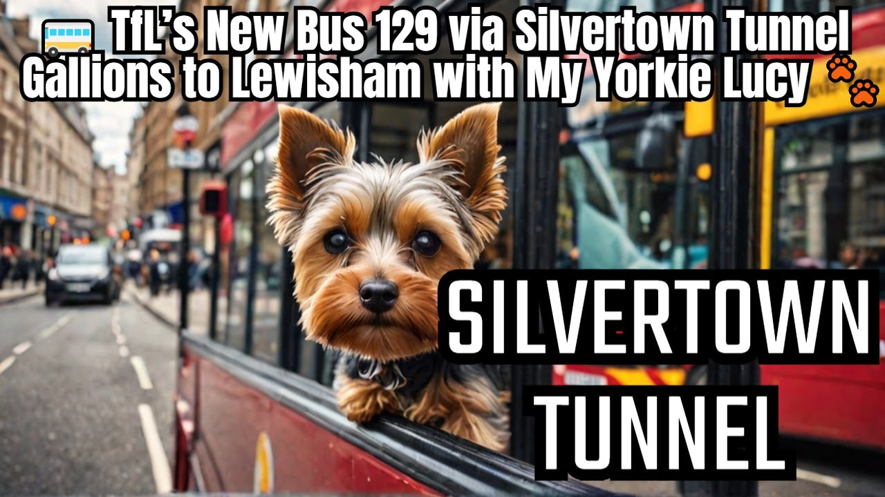 I Rode TfL's NEW Bus Route 129 with My Dog Lucy through Silvertown Tunnel!
