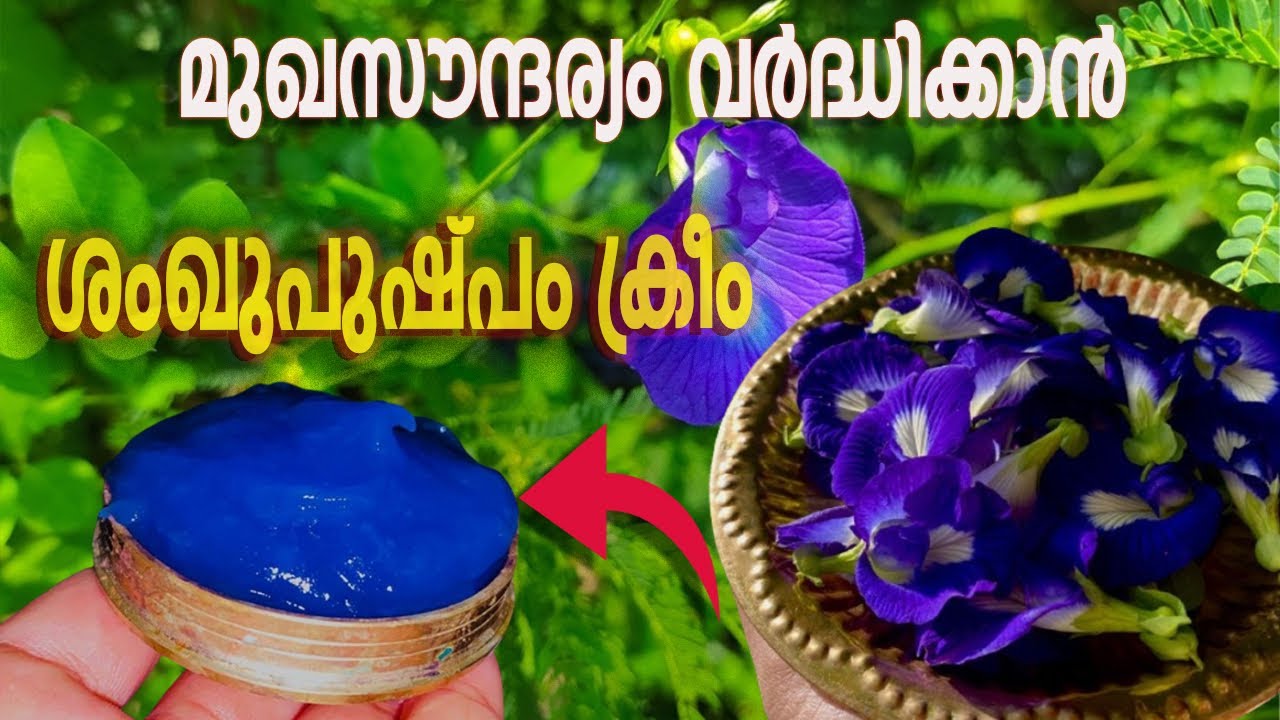 മുഖം തിളങ്ങാൻ ശംഖുപുഷ്പം ക്രീം || Homemade skin brightening Cream | Clitoria Ternatea Cream